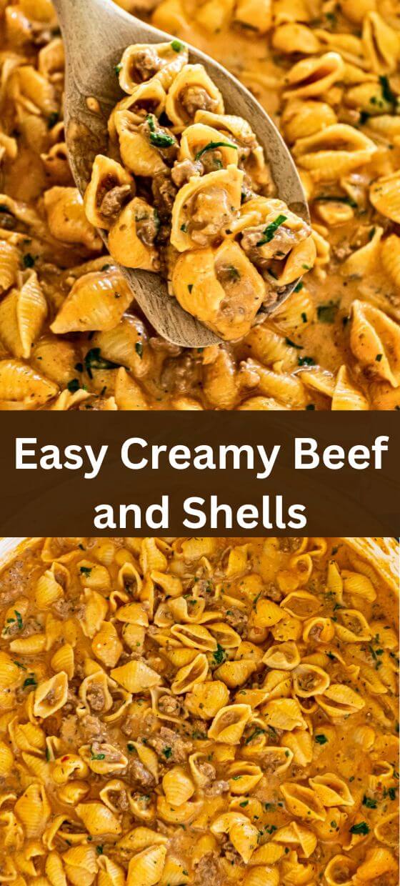 Easy Creamy Beef and Shells - Yummy and fully