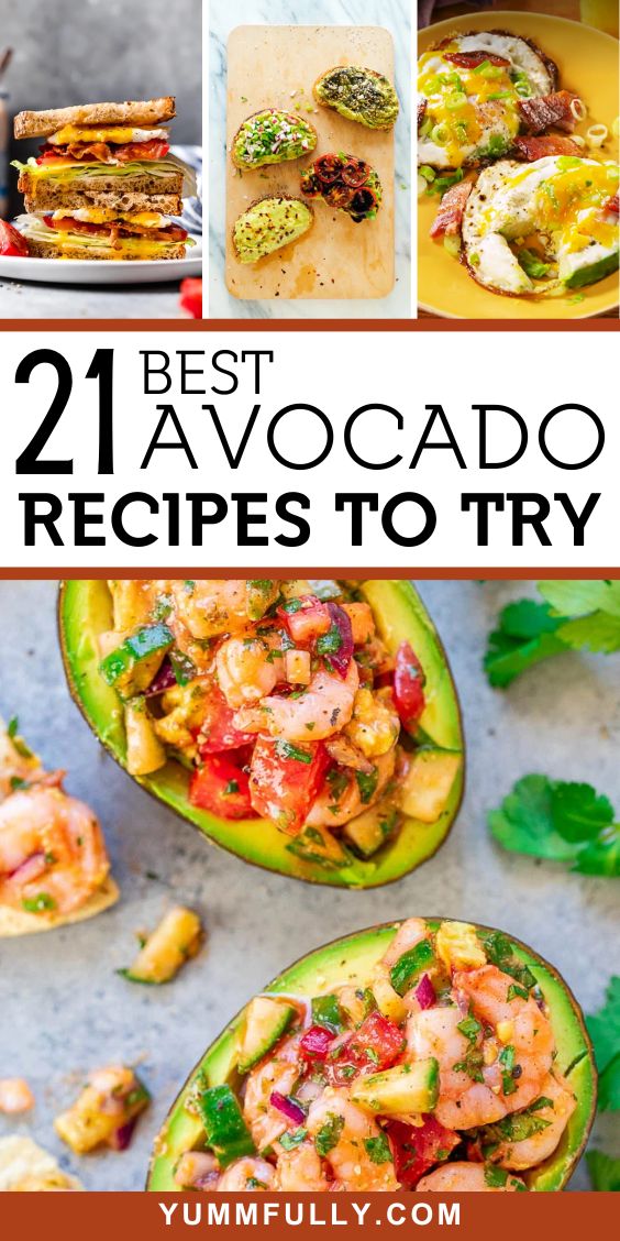 Best Avocado Recipes to Try