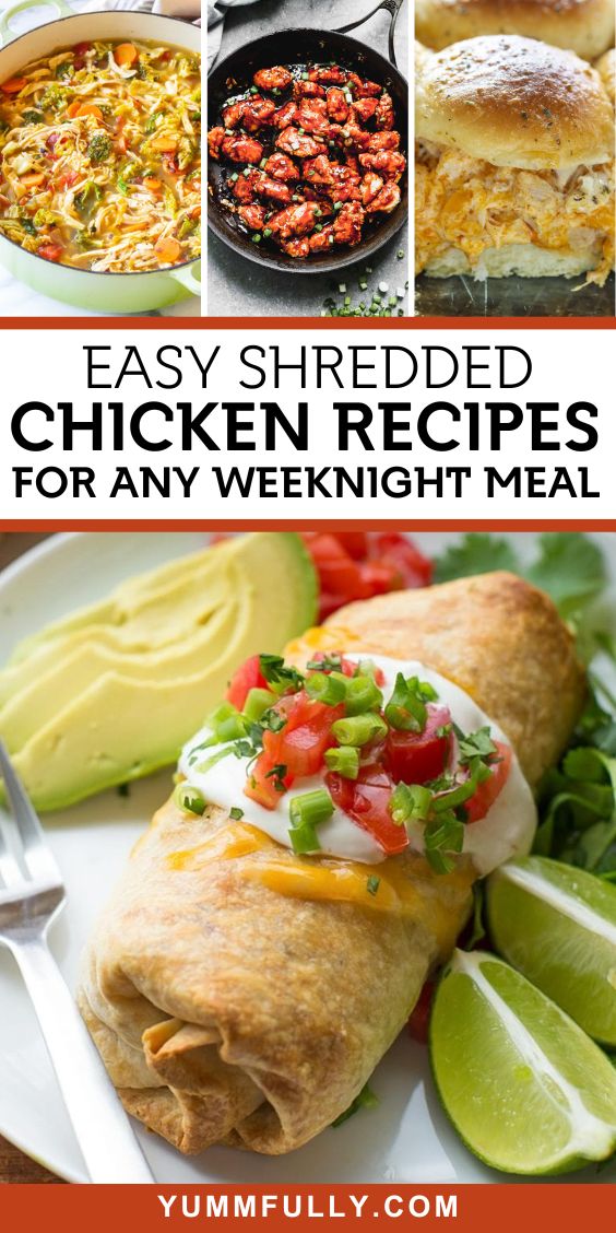 Shredded Chicken Recipes for Any Weeknight Meal