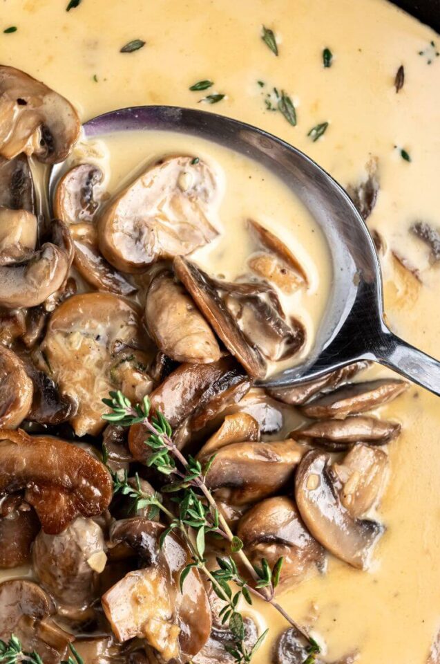 A Mushroom Sauce for Everything! - Yummy and fully